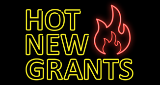 Hot New Grants: New ITHS Grants Page Will Stay Updated Weekly